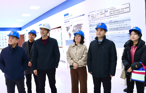 陽(yáng)光電源股份、宜賓智能制造行業(yè)協(xié)會(huì)、宜賓安徽商會(huì)調(diào)研遠(yuǎn)東電纜（宜賓）