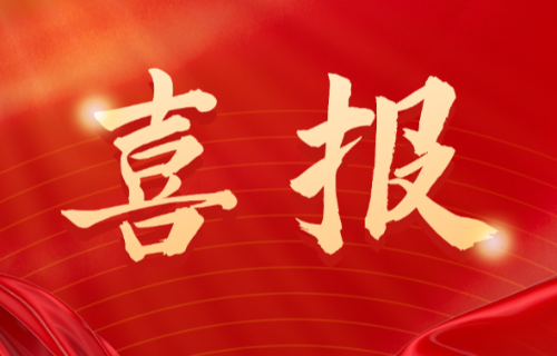 喜報(bào)！遠(yuǎn)東電纜（宜賓）胡清平榮登2025年第一批擬認(rèn)定主導(dǎo)產(chǎn)業(yè)企業(yè)人才名單